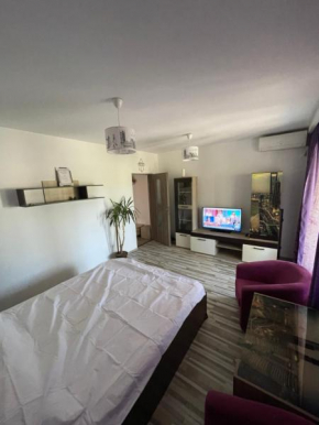 SunriseMamaia